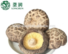 Well-Received Tea Flower Shiitake Mushroom Used for Sushi