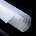 Polypropylene Plastic PP Sheet film roll