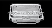 plastic strawberry hinged clamshell