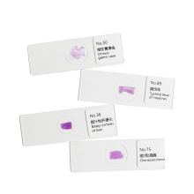 Human Pathology Microscope Slide Education FRT2002