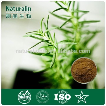 Natural Pure Rosemary Extract/Rosemary Powder/Rosemary Extract Supplier/Water Soluble