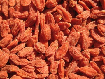 Goji Berry New Crop