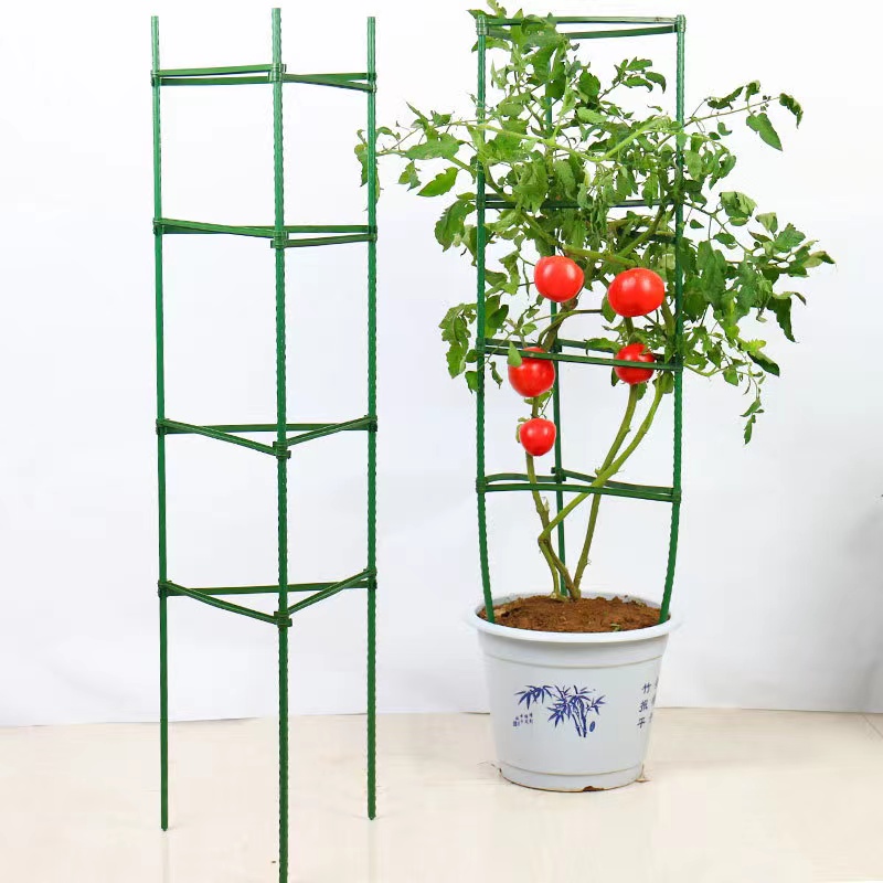 Tomato Plant Support Stakes