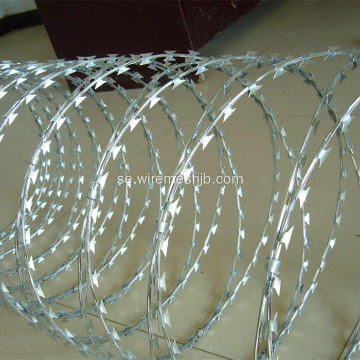 Razor Wire Fence-Concertina Coil Typ