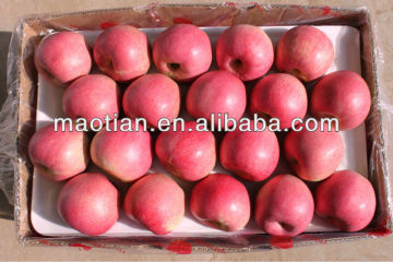 High Quality Qinguan Apple