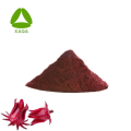 Extrait de fleur de roselle biologique Poudre d'anthocyanine 1 à 25%