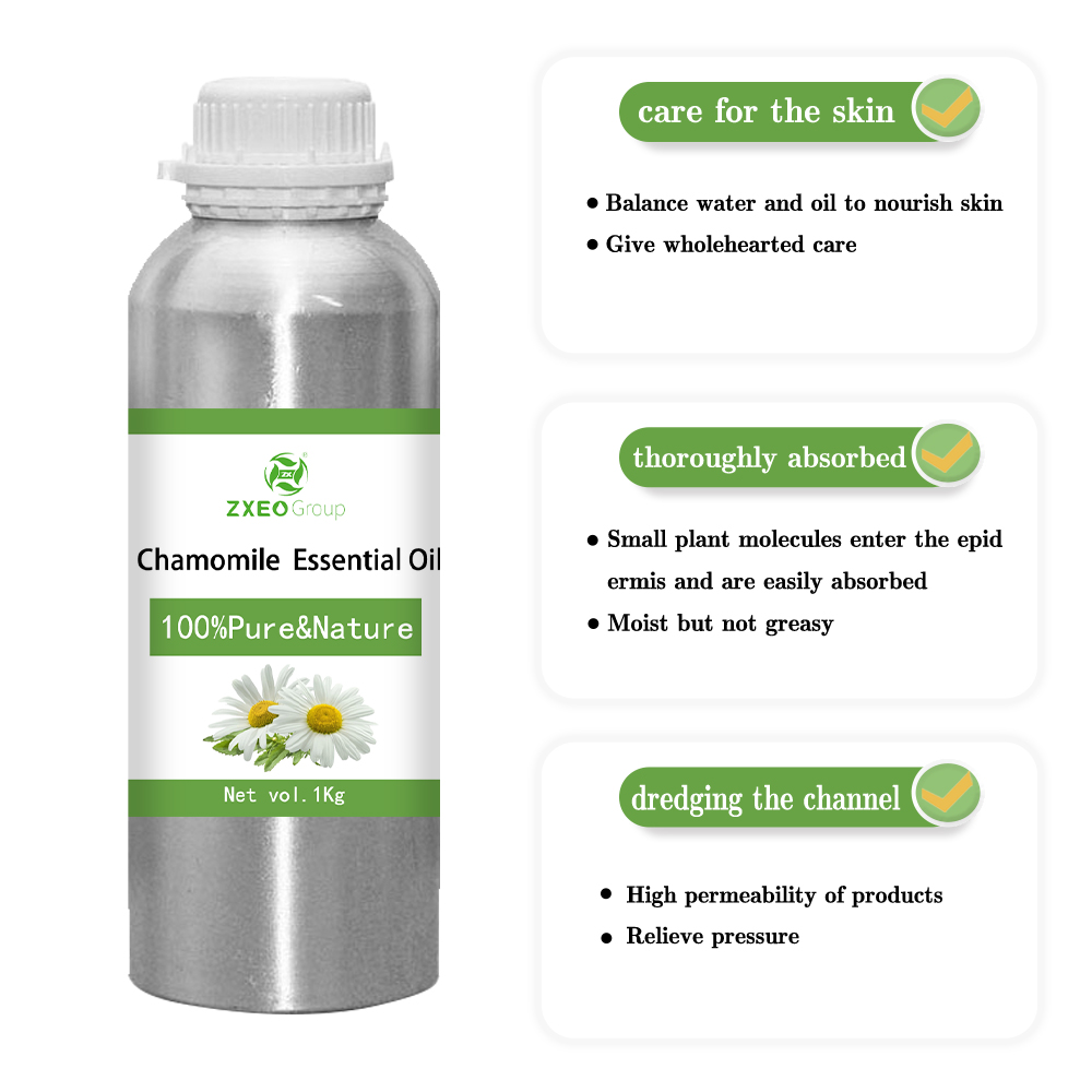 100% minyak esensial chamomile murni dan alami berkualitas tinggi grosir bluk oil esensial untuk pembeli global harga terbaik