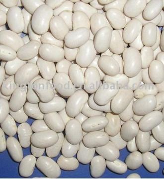 China white bean japanese type