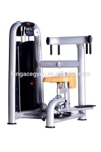 Gym Room Used Professional Commercial Rotary Torso