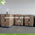 Factory  Wholesale Cosmetic Diet New Arrival Wolfberries