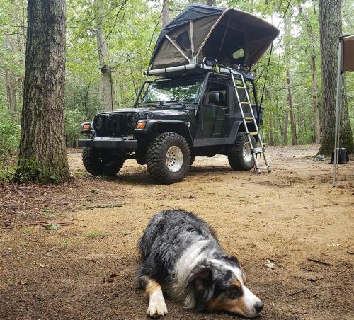Lastbil SUV camping svart taktält med stege