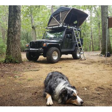 Truck SUV Camping Black Rooftop Tent with Ladder