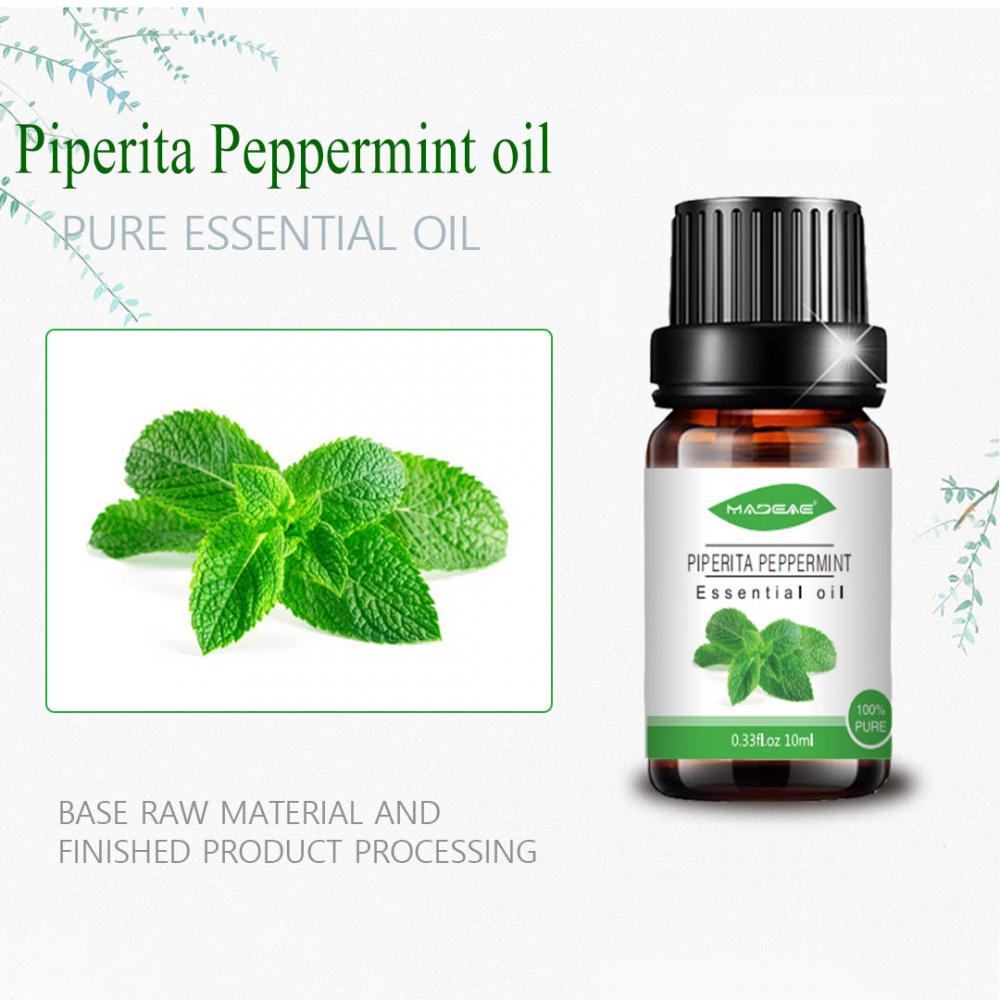 البيع بالجملة Piperita Peppermint Smarice Massage