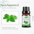 Massage en gros de la piperita à la menthe poivrée