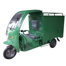 Closed Van Cargo Express: Adult Electric Tricycle for Delivery