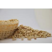 Organic korean pine nut kernels 750pcs