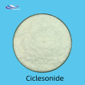 CAS 126544-47-6 Ciclesonidepoeder