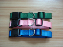 pet collar