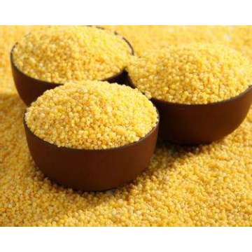 Chinese Millet, Yellow Millet, Nourishing The Stomach, Dietary Therapy