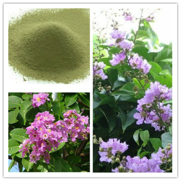 Banaba Leaf Extract Corosolic Acid(Glucosol)