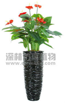 2016 hot selling artificial anthurium plant,fake red anthurium