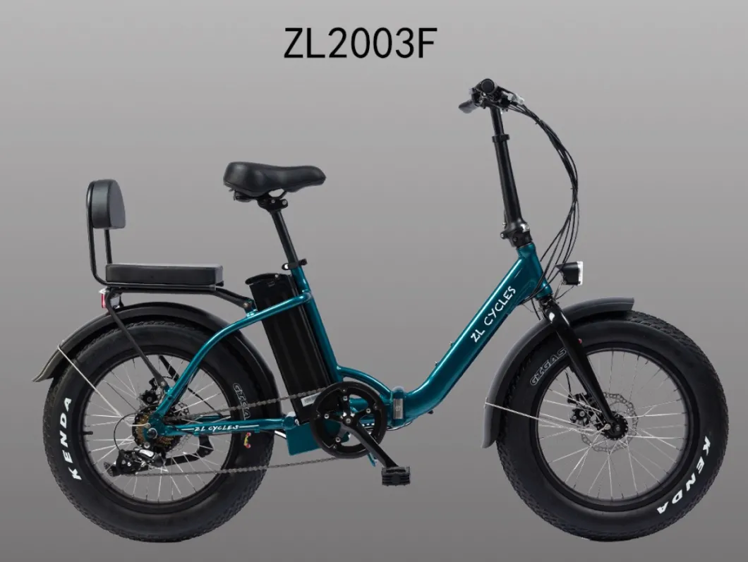Folding Electric Bike 20*4.0 Tyre External 7speed 36V Electric Bike