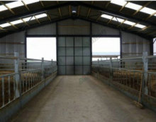 Pig Farm Steel Structure House