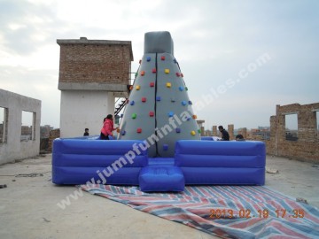 Inflatable Climbing Wall,Children Inflatable Rock Wall,Adults Climbing Wall Inflatable Wall for climbing
