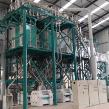 240T/24H Corn Grinding Flour Milling Line Machine with Good Feedback