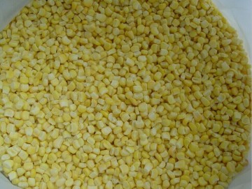 NON-GMO Frozen Sweet Corn Kernels IQF Sweet Corn