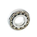 Single Row Deep Groove Ball Bearing (6044)