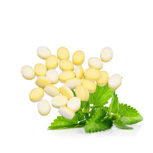 extraction stevia mint plant stevia extract