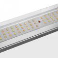 Luce a barra LED rosso intenso a spettro completo 660nm