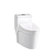 2020 Newest Useful Ceramic Bidet Toilet in Germany