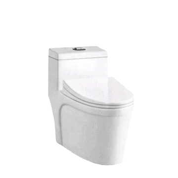 2020 Newest Useful Ceramic Bidet Toilet in Germany