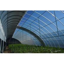 Industriya Green House