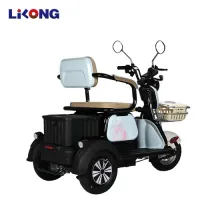 China-Made 350W/500W Motor Electric Mobility Trikes