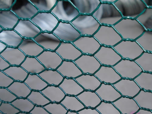 pvc-coated-chicken-wire-mesh