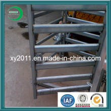 Firm and Durable Cattle Fence