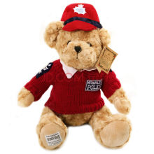 plush teddy bear with cap