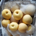 Hebei Golden Pear