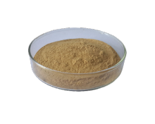 Green Tea Extracts Polyphenols