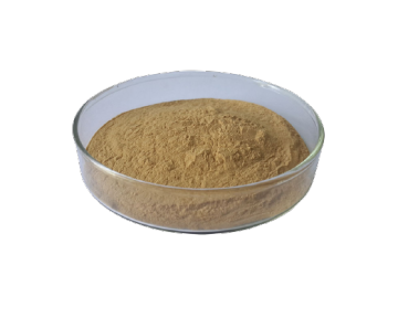 Green Tea Extracts Polyphenols