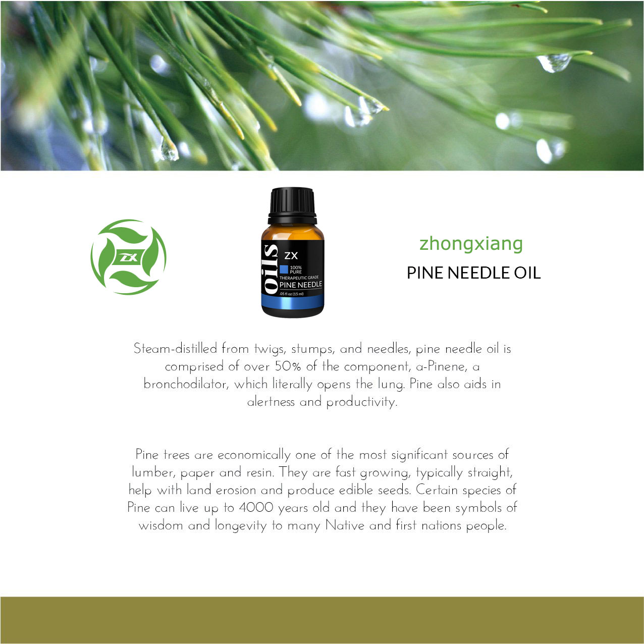 Pine needle oil7