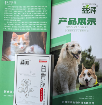 dog Bone Repair Nutrition Liquid