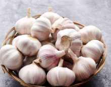 Chines Cold Storage New Purple Garlic