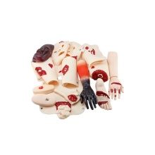 DARHMMY Medical Trauma Care Assessment Training Model