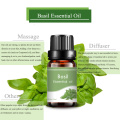 Therapeutic grade wholesale OEM natural basil essential oil