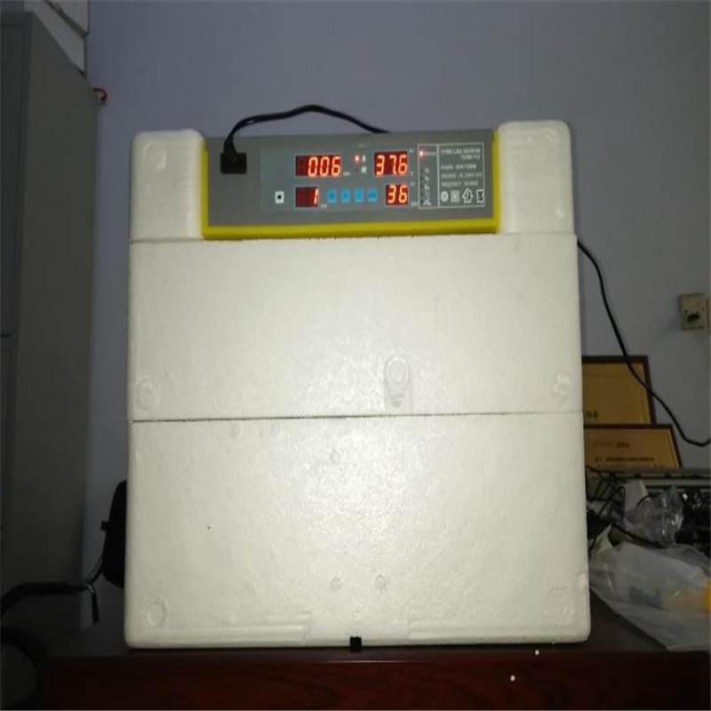 Energy Saving Mini Eggs Incubator Machine With Selling