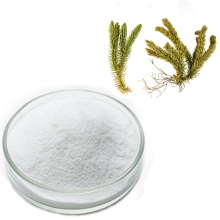 best price Huperzia Serrata extract huperzine-A